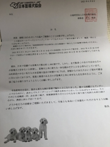 日本盲導犬協会からの手紙